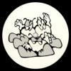 HARD05 - Groovy D