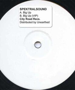Big Up - Spektral Sound