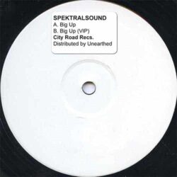 Big Up - Spektral Sound