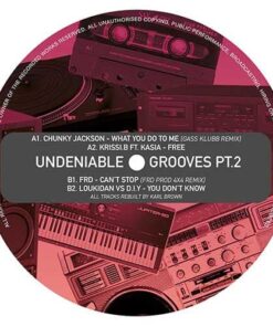 Undeniable Grooves PT.2 - F.R.D Productions / Chunky Jackson