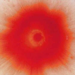 Calina - Myst