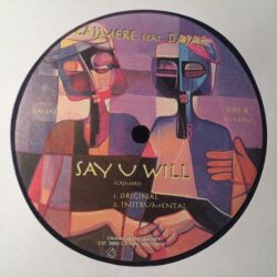 Say U Will - Cajmere Feat. Dajae
