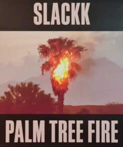 Palm Tree Fire - Slackk