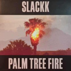 Palm Tree Fire - Slackk
