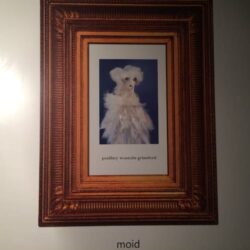Poshboy Wannabe Grimelord - Moid