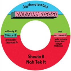Nah Tek It (Interplanetary Criminal Remix) - Sherrie B