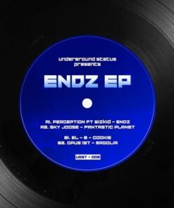 Endz EP - Perception / Sky Joose / El-B / Opus1st