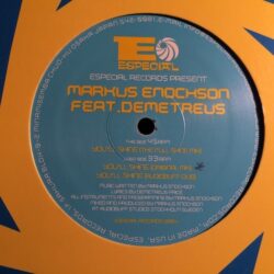 You'll Shine - Markus Enochso