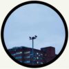 Twin Carbon / Incognito - SW2 / Y U QT / ZeroFG