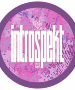 Temptation EP - Introspekt