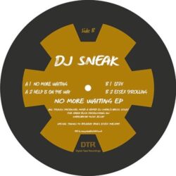 No More Waiting EP - DJ Sneak