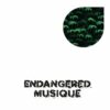 Tree House Rhythms - Jose Chinga