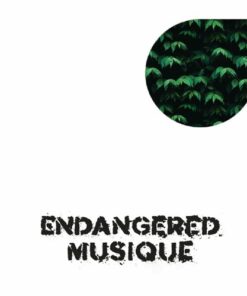Tree House Rhythms - Jose Chinga