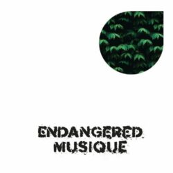 Tree House Rhythms - Jose Chinga