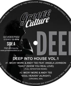 Deep Into House - Volume 1