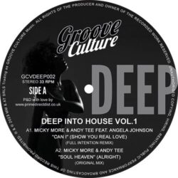 Deep Into House - Volume 1
