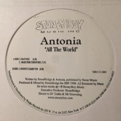 All The World - Antonia *WHITE LABEL*