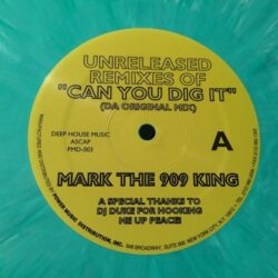 Can You Dig It (Remixes) - Mark The 909 King
