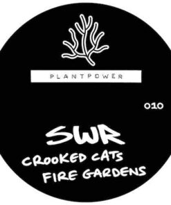 Blood Money EP - SWR