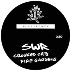 Blood Money EP - SWR