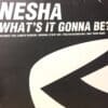 Whats It Gonna Be? - Nesha