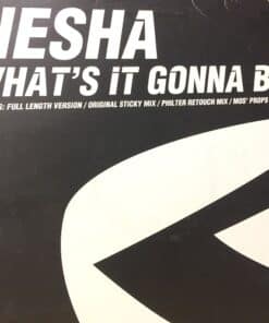 Whats It Gonna Be? - Nesha