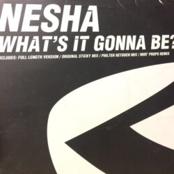 Whats It Gonna Be? - Nesha