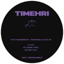 Wormhole Dojo EP - The Thunderkats
