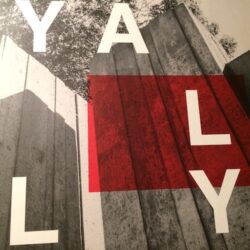 Burnt / Sudo - Yally