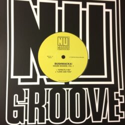 House Sounds Volume 1 - Bushwacka!