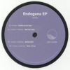 Endogena EP - Ionescu