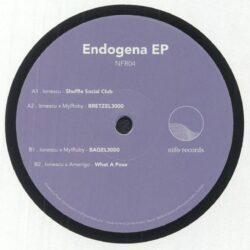 Endogena EP - Ionescu
