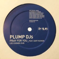 Pray For You (Lee Coombs Remixes) - Plump DJs