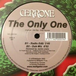 The Only One (Jamie Lewis Remixes) - Cerrone