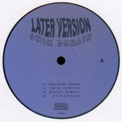 Swim Domain EP - Later Version