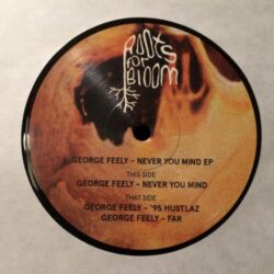 Never You Mind - George Feely