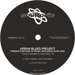Your Heaven (I Can Feel It) - Urban Blues Project