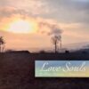 Love Souls - Allstarr Motomusic / Manuel Costela