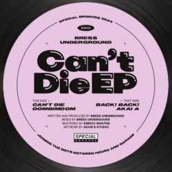 Can't Die EP - Bress Underground