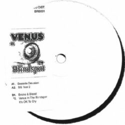Venus In The Blindspot EP - Etch