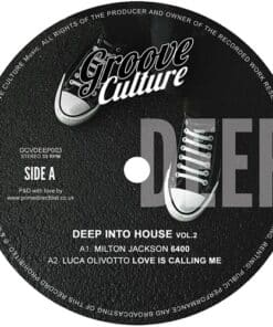 Deep Into House - Volume 2