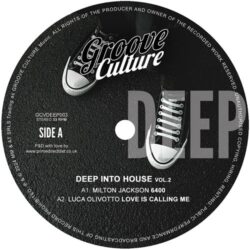 Deep Into House - Volume 2