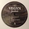 Janhui - Vegyn