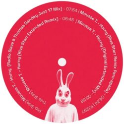 Horny Remixes - Mousse T