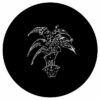Palmeiras 93 EP - Cabin Luv Affair