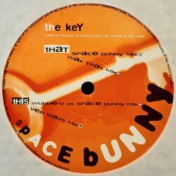 The Key - Space Bunny