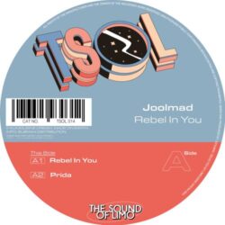 Rebel In You - Joolmad