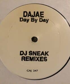 Day By Day (DJ Sneak Remixes) - Dajae