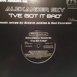 I've Got It Bad - Groove Junkies