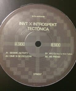 TECTONICA - INVT / Introspekt